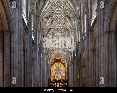 Kirchenschiff, Winchester Cathedral, Großbritannien Stockfoto