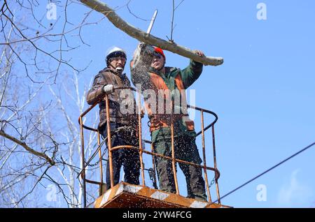 Baumstämme schneiden Äste eines Baumes mit Kettensäge und Lkw-Hebebühne. Februar 2020. Kiew, Ukraine Stockfoto