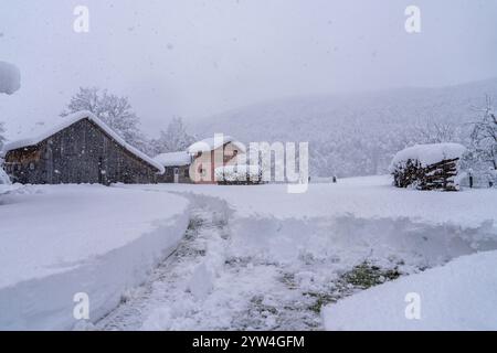 Gospic, Kroatien. Dezember 2024. Das Haus ist während des starken Schneefalls in Gospic, Kroatien, am 9. Dezember 2024 mit Schnee bedeckt. Foto: Hrvoje Kostelac/PIXSELL Credit: Pixsell/Alamy Live News Stockfoto