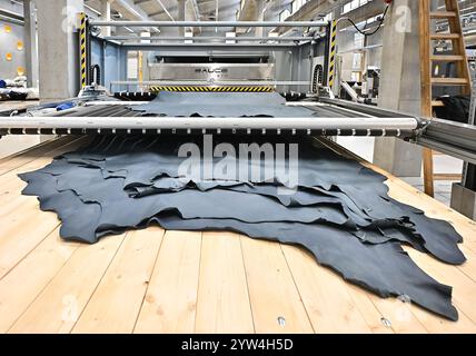 Brtnice, Region Jihlava. Dezember 2024. Lederproduktion in neuem Werk der LEDERFIRMA KARO in Brtnice, Region Jihlava, Tschechische Republik, 9. Dezember 2024. Quelle: Lubos Pavlicek/CTK Photo/Alamy Live News Stockfoto