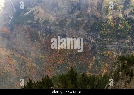Hoch aufragende Klippen mit Blick auf einen dichten Wald und schneebedeckte Gipfel schaffen einen atemberaubenden Kontrast aus Texturen und Farben. Stockfoto