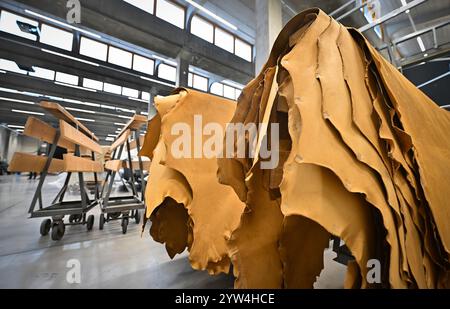 Brtnice, Region Jihlava. Dezember 2024. Lederproduktion in neuem Werk der LEDERFIRMA KARO in Brtnice, Region Jihlava, Tschechische Republik, 9. Dezember 2024. Quelle: Lubos Pavlicek/CTK Photo/Alamy Live News Stockfoto