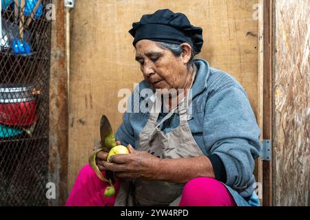 Lurin, Lima, Peru – 6. September 2024: Ältere Frau mit schwarzem Küchenhut schneidet und schält Kartoffeln zusammen in einem Eimer in der Gemeinschaftsküche Stockfoto