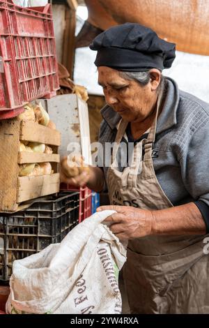 Lurin, Lima, Peru – 6. September 2024: Eine ältere Frau mit schwarzem Küchenhut greift Kartoffeln und legt sie in einen weißen Sack für die Lagerung in der Comm Stockfoto