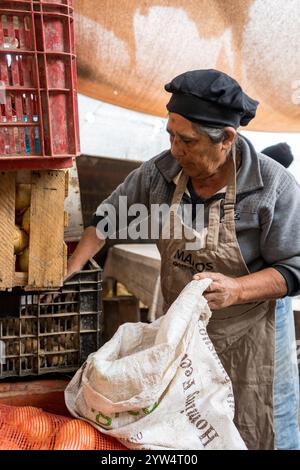 Lurin, Lima, Peru – 6. September 2024: Eine ältere Frau mit schwarzem Küchenhut greift Kartoffeln und legt sie in einen weißen Sack für die Lagerung in der Comm Stockfoto