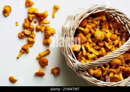 Nahaufnahmen von frischen Pfifferlingen in einem Korb. Helle, goldene Gelbtöne mit rustikaler, natürlicher Ästhetik. Inklusive flacher Oberseite V Stockfoto