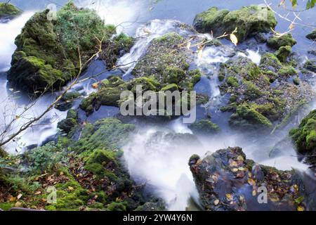 Moosige Felsen entlang eines fließenden Flusses im Herbst. Stockfoto