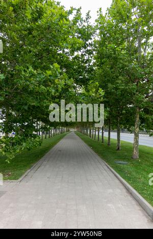 Noworossijsk, Russland 28. August 2024 Sonntagmorgen Spaziergang durch die Straßen, Parks und den Damm der Stadt. Stockfoto