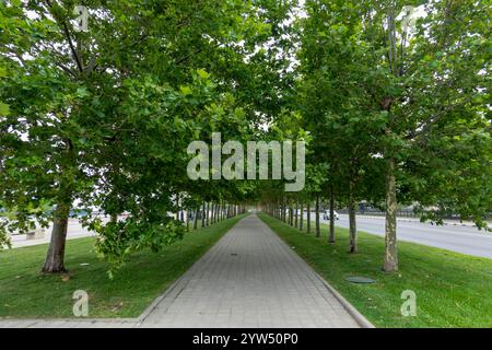 Noworossijsk, Russland 28. August 2024 Sonntagmorgen Spaziergang durch die Straßen, Parks und den Damm der Stadt. Stockfoto