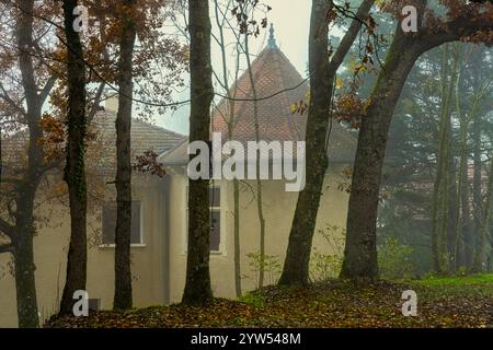 Die Türme von Blagneux Castle sind durch die Morgennebel zu sehen, ein romantisches Bild. Blagneux, Chevrières, Frankreich, Europa Stockfoto