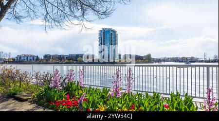 Neuer Westminster Pier Park, Fußweg mit Blick auf den Fraser River und die Port Mann Bridge im Hintergrund. New Westminster, British Columbia, Kanada. Stockfoto