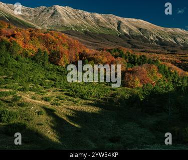 Landschaft mit den Herbstfarben von Maiella am Passo San Leonardo im Maiella-Nationalpark. Abruzzen, Italien, Europa Stockfoto