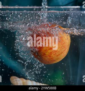 Ein Apfel in einem Aquarium. Stockfoto