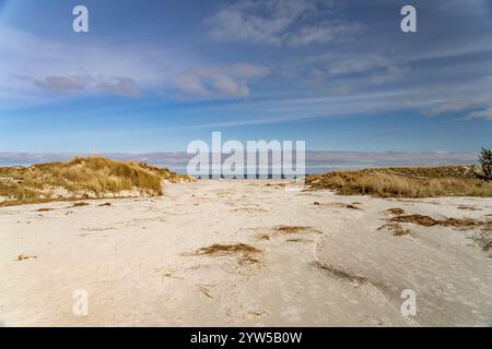 Der Ostsee Strand bei Prerow, Mecklenburg-Vorpommern, Deutschland | der ostsee Strand bei Prerow, Mecklenburg-Vorpommern, Deutschland Stockfoto