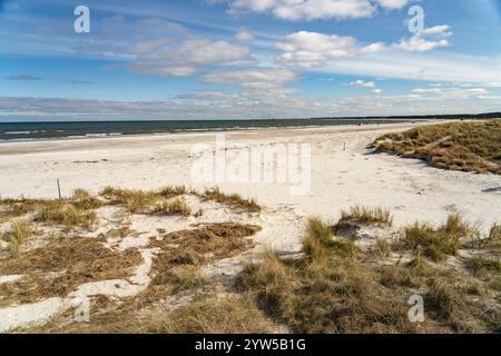 Der Ostsee Strand bei Prerow, Mecklenburg-Vorpommern, Deutschland | der ostsee Strand bei Prerow, Mecklenburg-Vorpommern, Deutschland Stockfoto