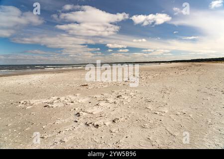 Der Ostsee Strand bei Prerow, Mecklenburg-Vorpommern, Deutschland | der ostsee Strand bei Prerow, Mecklenburg-Vorpommern, Deutschland Stockfoto