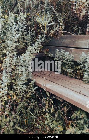 Parkbank aus bewachsenem Holz Stockfoto