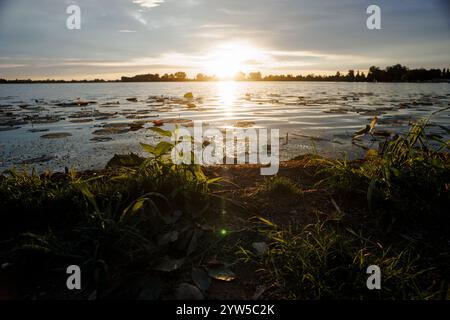 Flussufer-Vegetation entlang des Mincio River in Mantua, die bei Sonnenuntergang im Hintergrund mit natürlichen Lichteffekten der Linsen aufgenommen wird, die eine ruhige und atmosphärische Atmosphäre schaffen Stockfoto