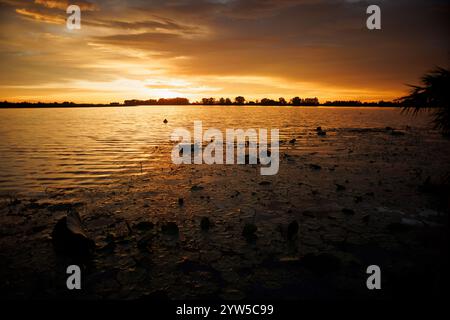 Flusspflanzen mit Lotusblättern entlang des Mincio River in Mantua, die bei Sonnenuntergang im Hintergrund erfasst werden und eine ruhige und stimmungsvolle Szene schaffen Stockfoto