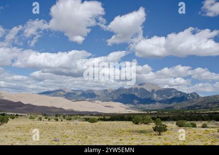Der Great Sand Dunes National Park liegt im San Luis Valley in Colorado an den westlichen Hängen der Sangre de Cristo Mountains. Stockfoto