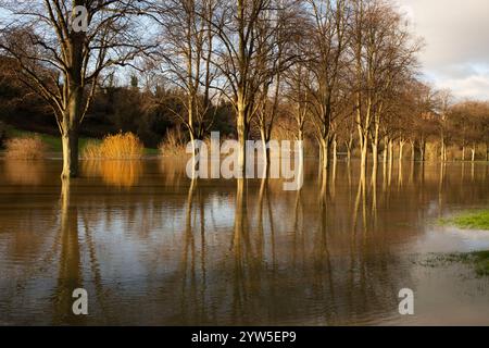 Der Fluss Severn überschwemmt in den Steinbrüchen, Shrewsbury, Shropshire und überschwemmt Fußwege. Überschwemmungen durch starke Regenfälle durch Sturm Darragh. Stockfoto