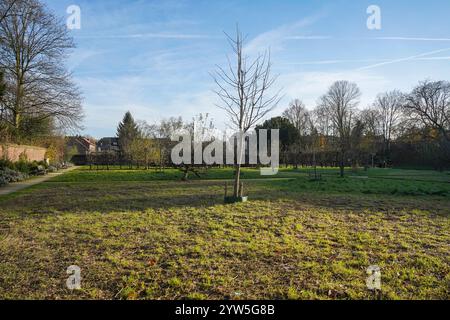 Ursuline Gardens, ehemalige Gärten des Klosters, Sittard, Limburg, Niederlande. Stockfoto