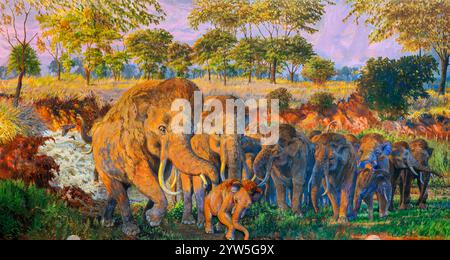 Gemälde kolumbianischer Mammuts (Mammuthus columbi) im Waco Mammoth National Monument, Waco, Texas, USA Stockfoto
