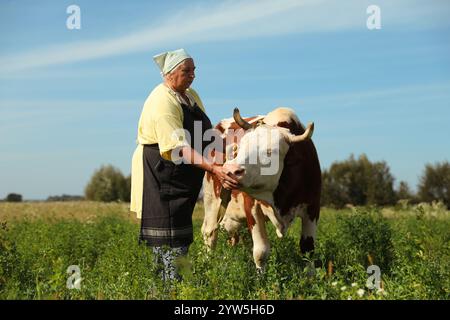Ältere Frau, die Kuh auf grüner Weide füttert Stockfoto