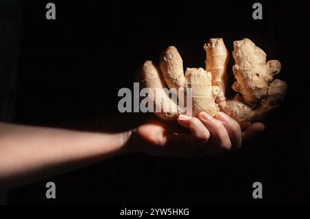 ginger in der Hand auf schwarzem Hintergrund Stockfoto