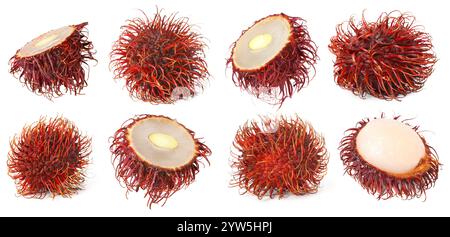 Frische tropische Rambutan-Früchte isoliert auf weiß, Set Stockfoto