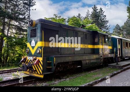 Mokra Gora, Serbien - 22. Juni. 2023: Diesel-Schmalspurlokomotive am Bahnhof Jatare, Sargan 8 Railway. Stockfoto