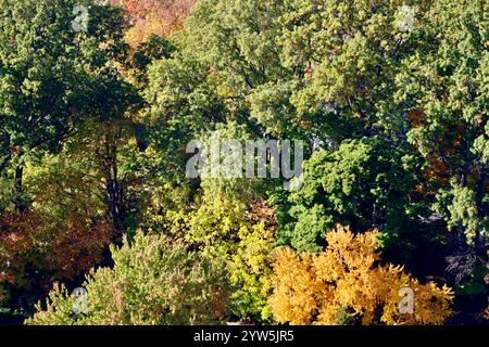 Aerial view of Lakewood, Ohio, west of downtown Cleveland, fall 2024 Stockfoto