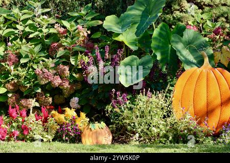 Fall colors in Lakewood, Ohio, west of downtown Cleveland, 2024 Stockfoto