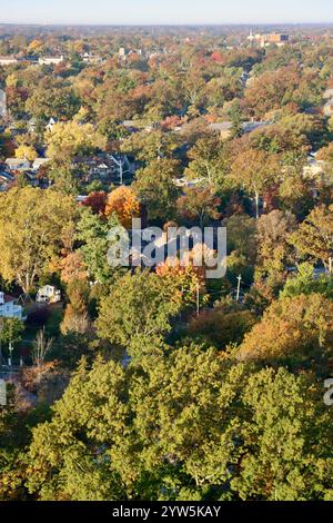 Aerial view of Lakewood, Ohio, west of downtown Cleveland, fall 2024 Stockfoto