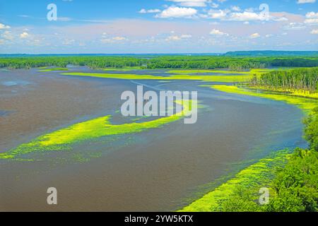 Luftaufnahme einer Biegung im Mississippi River im Sommer im Mississippi Palisades State Park in Illinois Stockfoto