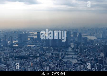 Die Skyline von Urban Tokyo in einer düsteren Atmosphäre, die sich über das Stadtbild erstreckt Stockfoto