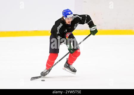 Pardubice, Tschechische Republik. Dezember 2024. David Tomasek nimmt am Training der tschechischen Nationalmannschaft vor den Schweizer Hockeyspielen Teil, Teil der Euro Hockey Tour, am 9. Dezember 2024 in Pardubice, Tschechien. Quelle: Josef Vostarek/CTK Photo/Alamy Live News Stockfoto