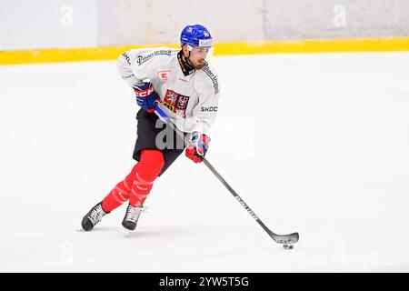 Pardubice, Tschechische Republik. Dezember 2024. Filip Zadina nimmt am Training der tschechischen Nationalmannschaft vor den Schweizer Hockeyspielen Teil, Teil der Euro Hockey Tour, am 9. Dezember 2024 in Pardubice, Tschechien. Quelle: Josef Vostarek/CTK Photo/Alamy Live News Stockfoto