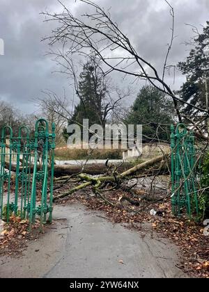 Nicht exklusiv: Bäume werden in der Nähe der Pittville Park Bridge umgeworfen und das Dach der Laurie Lee University in Cheltenham wird nach Storm Darrag beschädigt Stockfoto