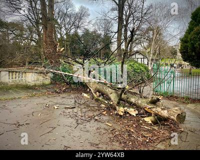 Nicht exklusiv: Bäume werden in der Nähe der Pittville Park Bridge umgeworfen und das Dach der Laurie Lee University in Cheltenham wird nach Storm Darrag beschädigt Stockfoto