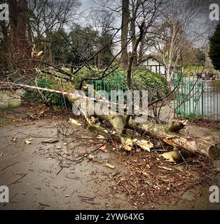 Nicht exklusiv: Bäume werden in der Nähe der Pittville Park Bridge umgeworfen und das Dach der Laurie Lee University in Cheltenham wird nach Storm Darrag beschädigt Stockfoto