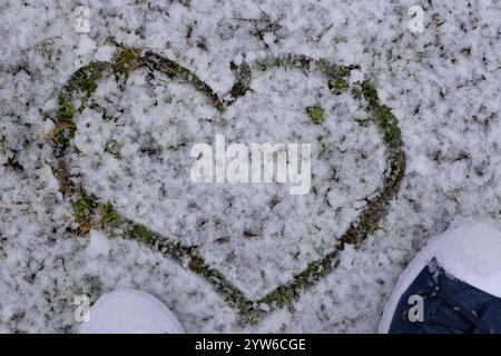 Herzform auf grünem Gras, das mit dem ersten nassen Schnee bedeckt ist. Symbolisiert Liebe, Winteranfänge und saisonale Veränderungen Stockfoto