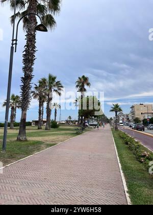 Eine malerische Strandpromenade gesäumt von hohen Palmen unter einem bewölkten Himmel. Der leere Weg bietet eine ruhige und friedliche Atmosphäre, die perfekt für einen Spaziergang ist. Stockfoto