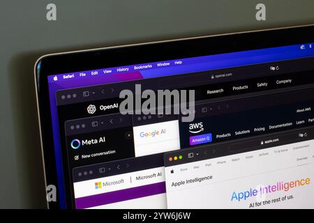 Webseiten von OpenAI, Meta AI, Google AI, AI auf Amazon Web Services, Microsoft AI und Apple Intelligence werden am 19. Oktober 2024 auf einem Computer angezeigt. Stockfoto