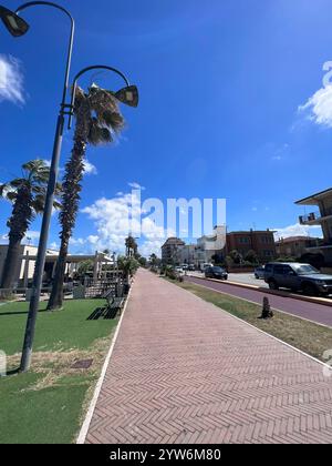 Eine wunderschöne Strandpromenade gesäumt von Palmen und Straßenlaternen unter einem klaren blauen Himmel. Die Umgebung weckt ein Gefühl von Freizeit und Entspannung in einem Stockfoto