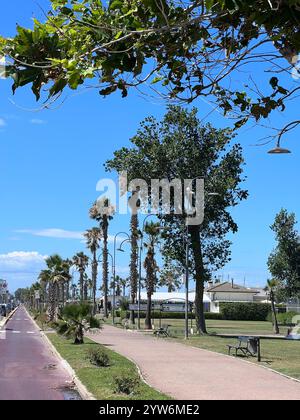 Parkweg, flankiert von hohen Palmen und grünen Rasenflächen unter einem hellblauen Himmel, ideal für Entspannung im Freien. Bänke säumen den Weg und bieten Besuchern Stockfoto