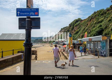 Radweg Red Squirrel Trail, Isle of Wight Stockfoto