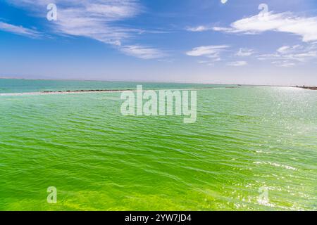 Mineralbergbau in China. Ein Rand von Kristallsalzen umgibt den Qarhan-See, den größten Salzsee playa in China und eine bedeutende Salzquelle Stockfoto