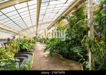 Botanischer Garten Mexiko-Stadt Chapultepec Stockfoto