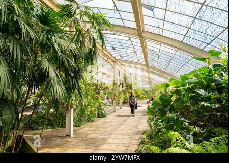 Botanischer Garten Mexiko-Stadt Chapultepec Stockfoto